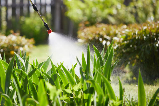 24/7 Emergency Termite Control experts in Watts Mills, SC
